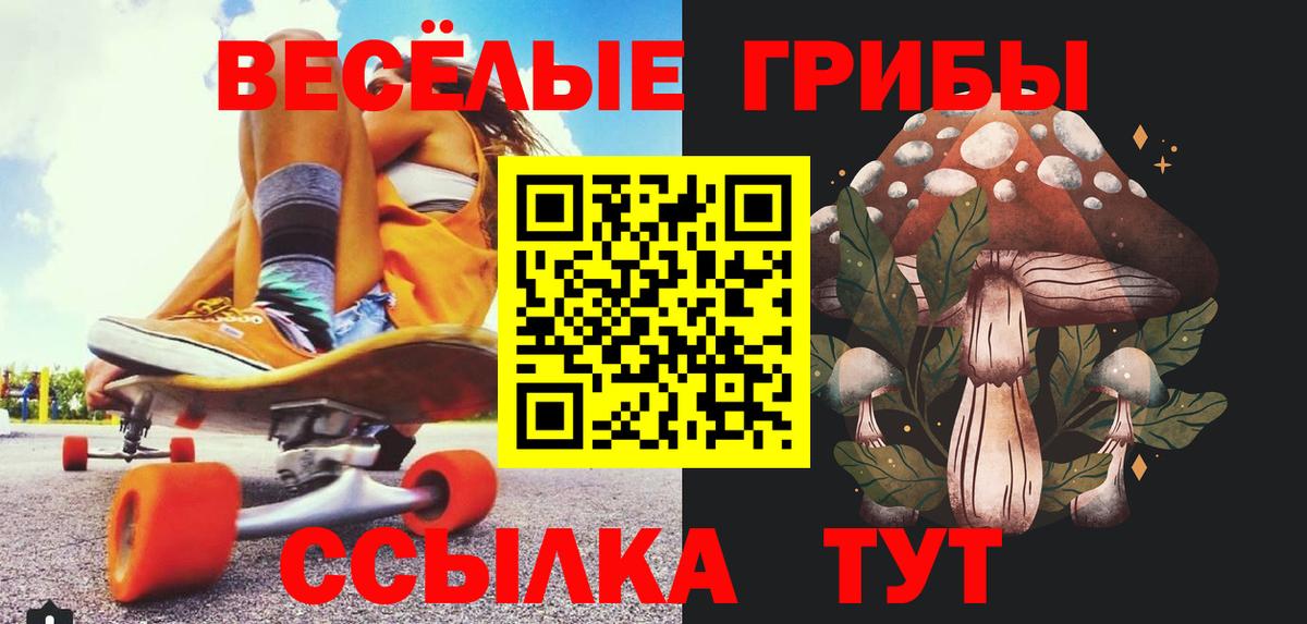 Златоуст  Псилоцибиновые грибы ЛСД  Вход с VPN  купить   Галлюциногенные грибы мицелий 